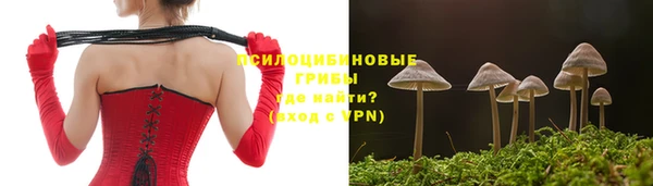spice Абаза