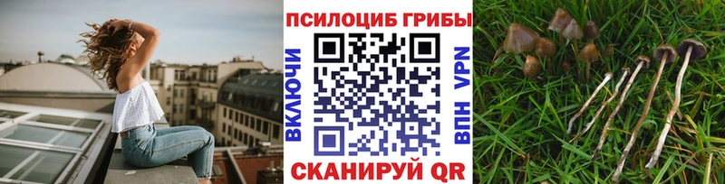 продажа наркотиков  маркетплейс наркотические препараты  Галлюциногенные грибы MAGIC MUSHROOMS  Краснозаводск 